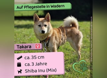 Takara