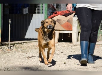 RAMBO sucht liebevolles Zuhause