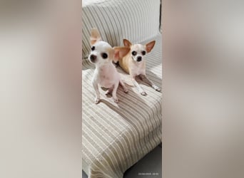 Süßes Mutter Tochter Duo sucht liebevollen Platz