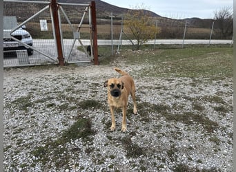 Boomer – Und es hat Boom gemacht!