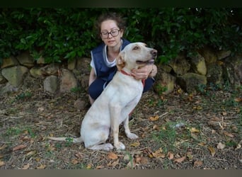 Ramesh - Freundlich, neugierig und mit einem Herz voller Liebe