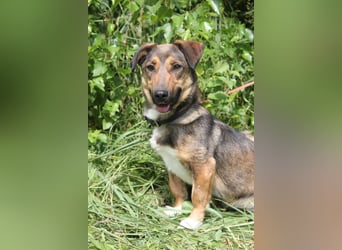 Zauberhafte kleine Henriette wünscht sich ein Zuhause