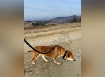 Zorro und Zora - ausgesprochen liebes Geschwisterpärchen