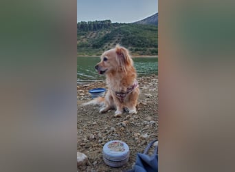 Luna, hofft auf ihre 2. Chance