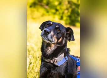 Rudi sucht seine Menschen