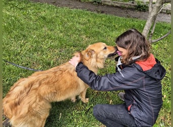 Sally sucht ein liebevolles Zuhause