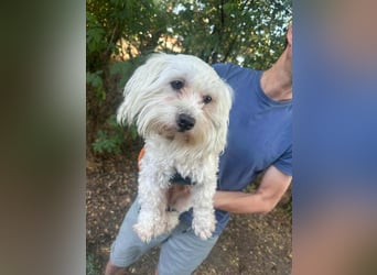 Casper, geboren 06.12.2023, 24cm sucht seine Menschen