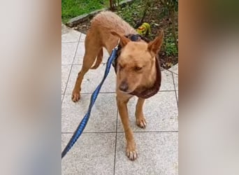 ❤️ CHICO ❤️