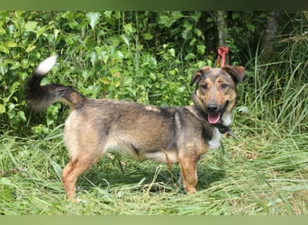 Zauberhafte kleine Henriette wünscht sich ein Zuhause