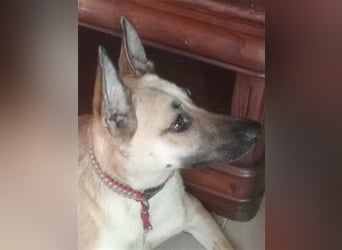 Liebe PRINCESA sucht ihr Traumkörbchen
