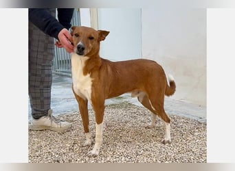 Max(JA) einfach ein toller Kerl