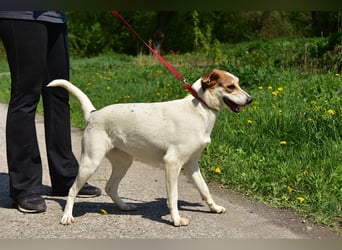 Bella Y153 ist voller Lebensfreude