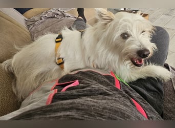 Larry: freut sich auf Besuch nahe Bonn