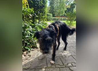 Paty, sucht ihre Herzensmenschen