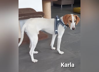 Karla mit dem zauberhaftem Wesen