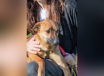 Pepper – ein kleines Sensibelchen