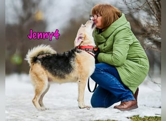 Jenny4 geb. 01/2018 - bezaubernde und super liebe, kleine Wuschelhündin!