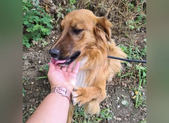 Yiwu ein liebesbedürftiger Bub