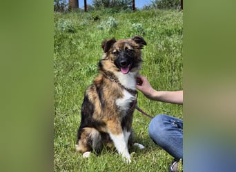 Süße Tessa sucht liebevolle Menschen
