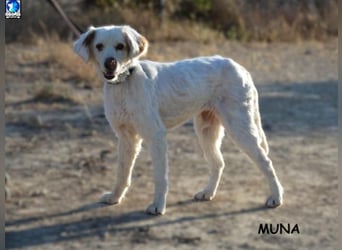❤️ MUNA ❤️   ❗NOTFALL❗