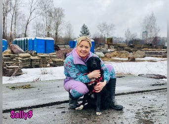 Sally3 geb. 04/2021 - sooo sanfte und verschmuste Hündin sucht liebevolle Menschen!