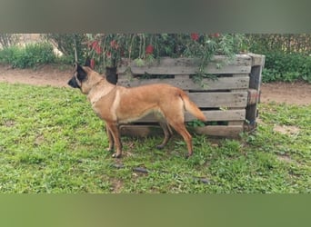 Gina