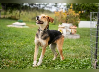 Ronja - in 15370 Fredersdorf