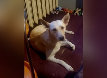 Mila, erwachsene Frau der vielen Facetten