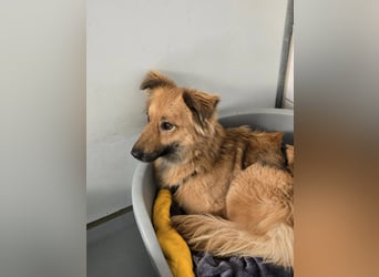 Dani sucht ihr Happy End bei einer liebevollen Familie