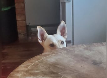 Mila, erwachsene Frau der vielen Facetten