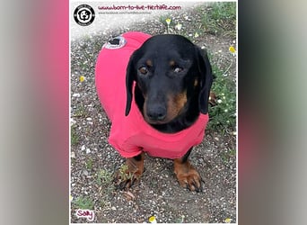 Mega liebe Sally sucht ein Zuhause