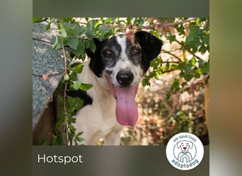 Hotspot: Ein Herz voller Hoffnung