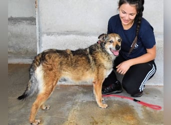 Maikin - Schnuffel schnuffel Körbchensuche