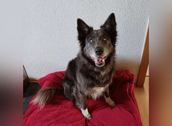 Klotild