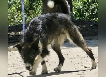 Jesika, freundlich, aufgeschlossen, neugierig