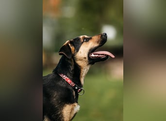 Neugierige BRUNYA sucht eine liebevolle Familie