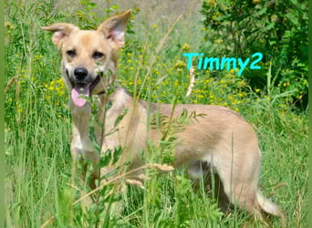 Timmy2 geb. 03/2023 - verspielter, aktiver und fröhlicher junger Rüde!
