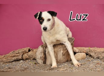 Öffnen Sie ihr Herz für Luz?