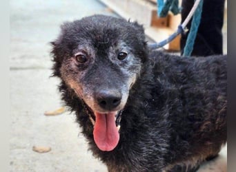OldBoy ♥Billy♥ Senior sucht Treue+Liebe