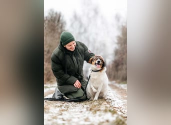 Besondere Agatha sucht ihre Menschen