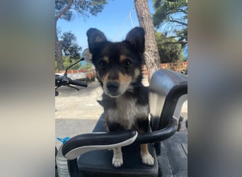 Chance