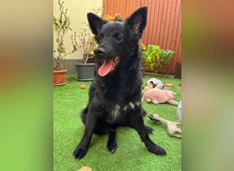 Fiona SR– Kleine Entdeckerin sucht liebevolles Zuhause
