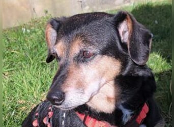Ruby: Besitzerin unerwartet gestorben