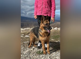 Karma hat das Schicksal zu uns geführt 