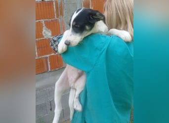 Funny ❤️ neugierig, aktiv + aufgeschlossen