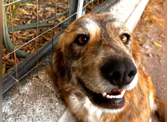 Stella – wo ist ihre Familie?