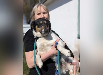 Emi, geboren 03.2022, 39 cm wünscht sich eine tolle Familie
