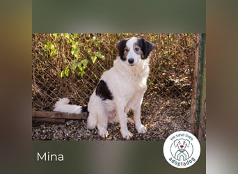 Mina: Ruhige Seele mit großem Herz
