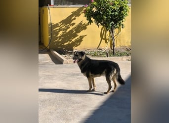 ❤️SOMBRA❤️