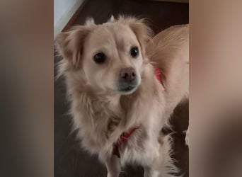 Lebensfrohe EMMY sucht gemütlichen Kuschelplatz
